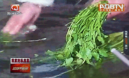 桐城喜菜 家的味道