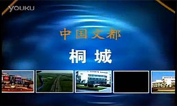 清香桐城