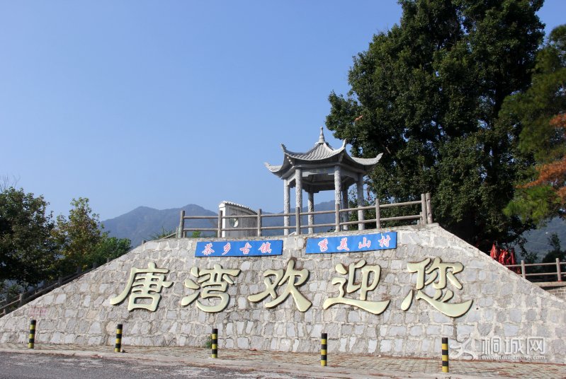 桐城市首家农民专业合作社联合社在唐湾镇挂牌成立
