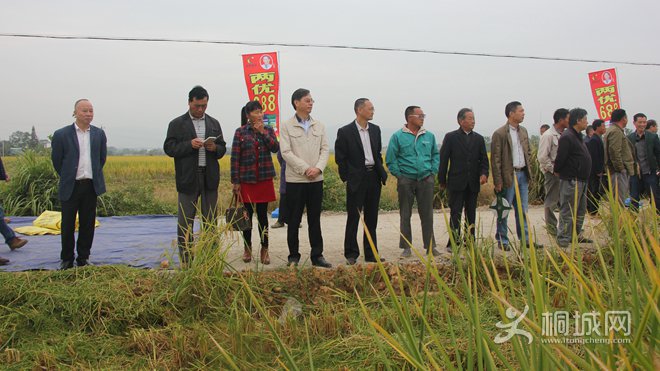 20161012091617879_PueN8vws.jpg