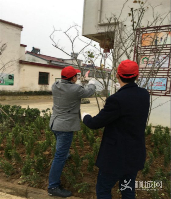 201611301621251020_QDcxxs3P.jpg