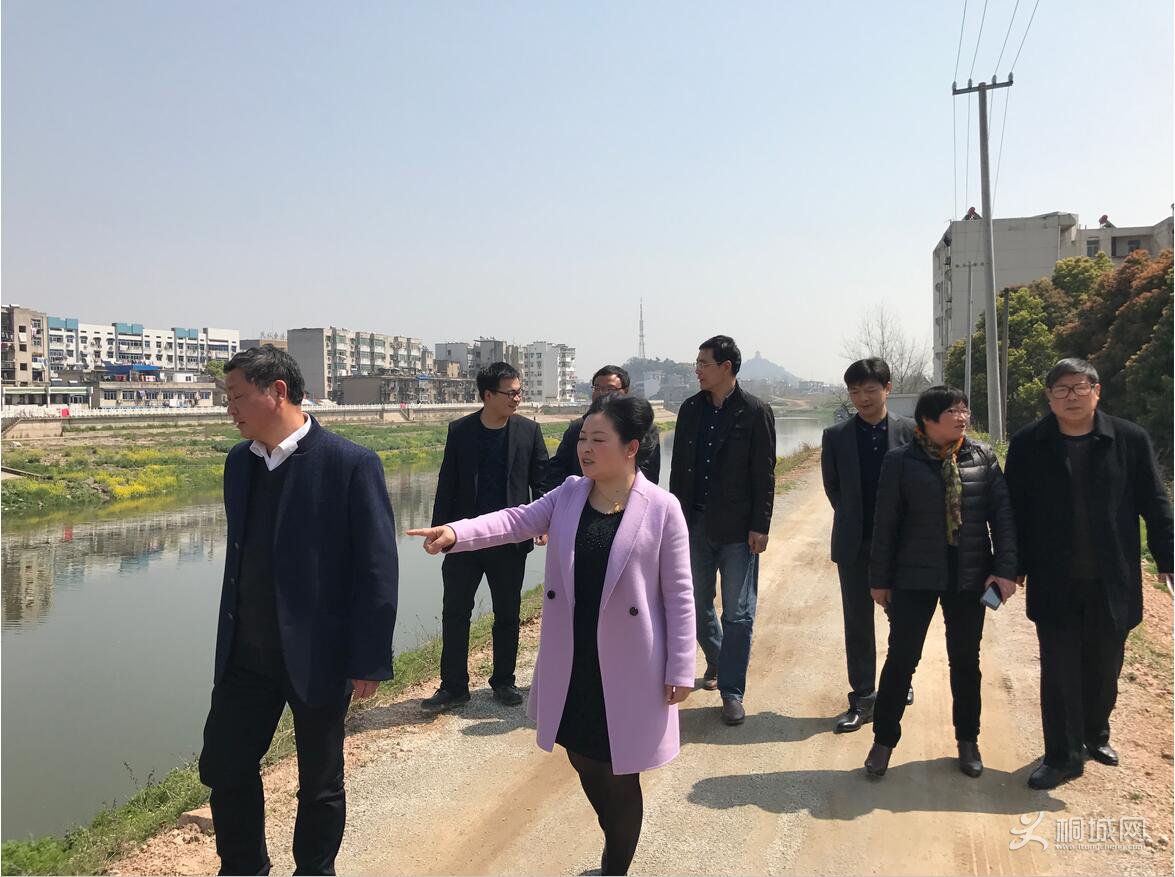桐城市防办一行督查鲟鱼镇2017年防汛工作