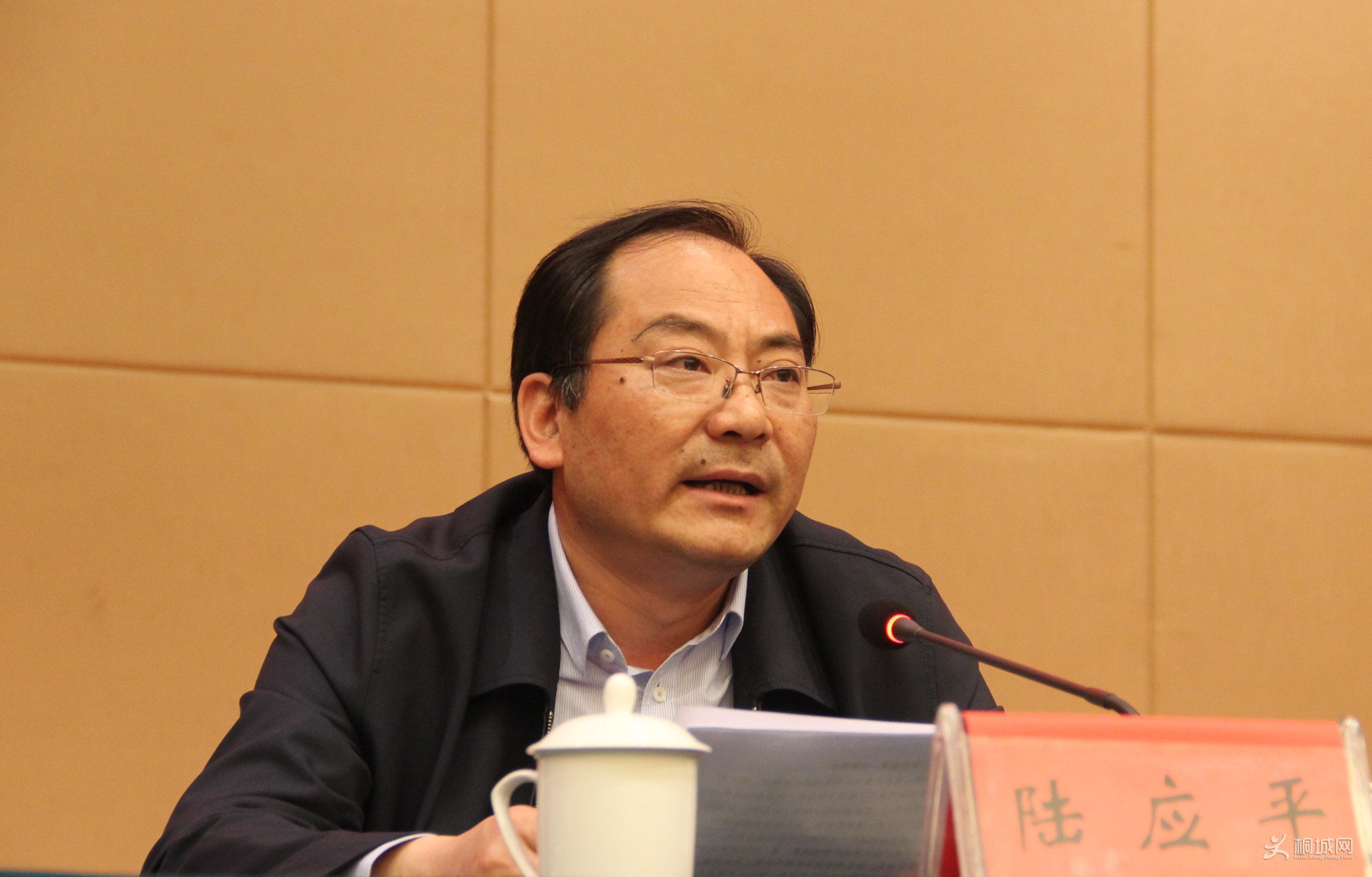 安庆市安全生产第一巡查组来桐城专项巡查工作动员会召开