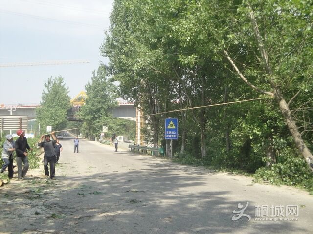 201705191641253341_udi52ddG.jpg
