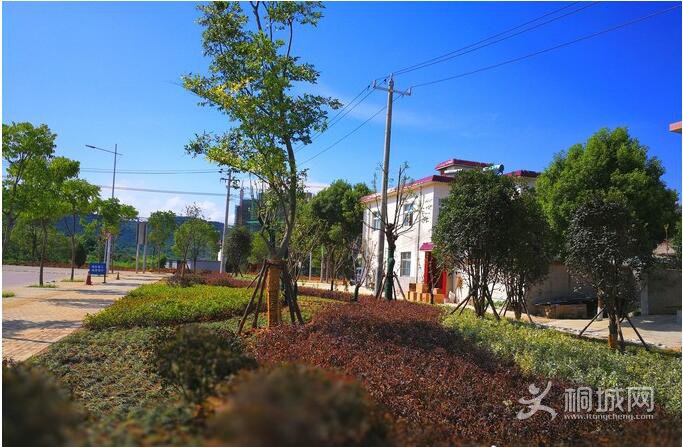 IMG_20170719_151200_看图王.jpg