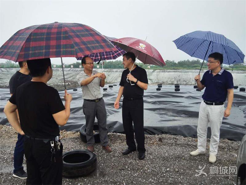 2017081511212860_OmNH1TJD.jpg
