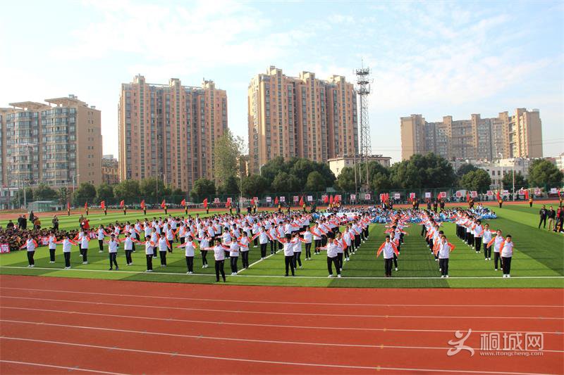 2017110217233562_T1LCaSx4.jpg