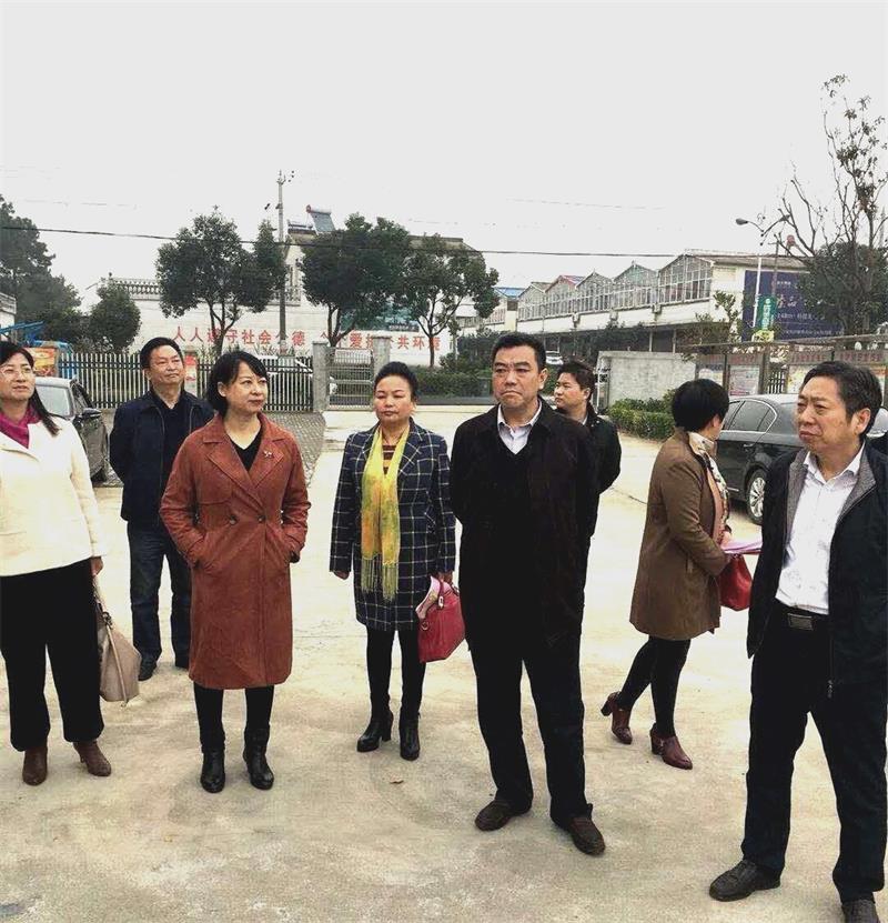 付伟率队督察妇女儿童发展纲要实施工作 张文芳张支南