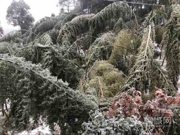 20180108082907184_LvVgEZOI.jpg