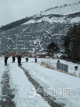 QQ图片20180126192107.jpg