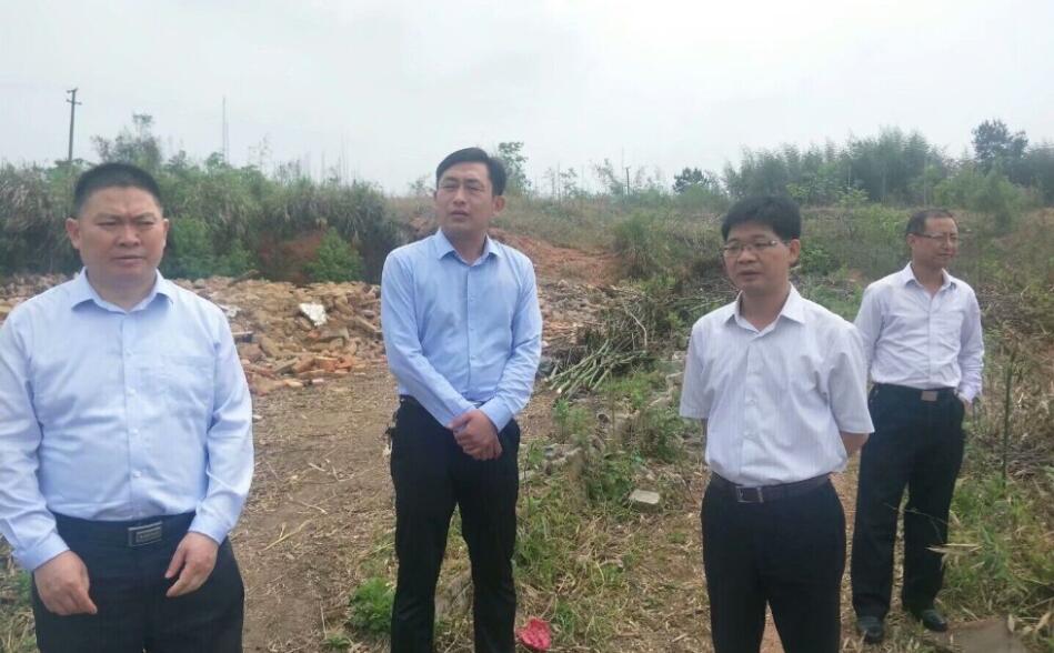 促进城乡融合发展,4月30日, 桐城市委副书记,代市长率队赴新渡镇,青草