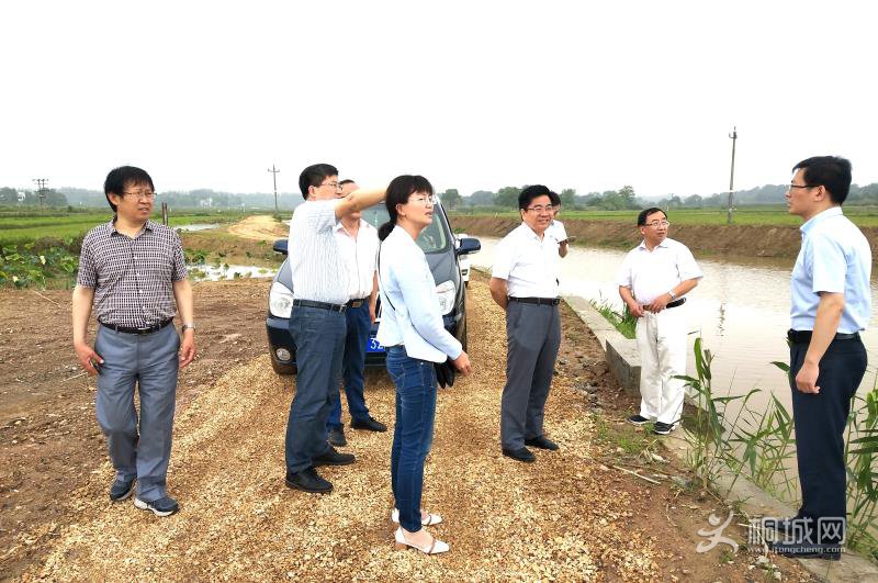 尹昌斌率队来桐考核桐城市现代生态农业基地建设