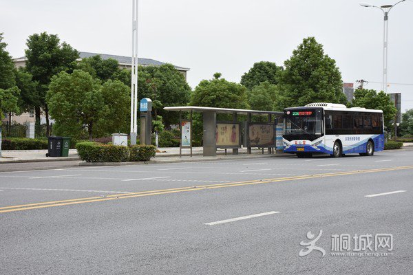 204路公交.jpg