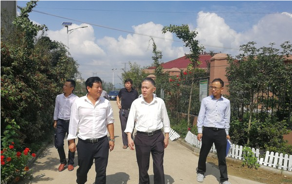 图为督察组一行察看合河村美丽乡村建设.jpg