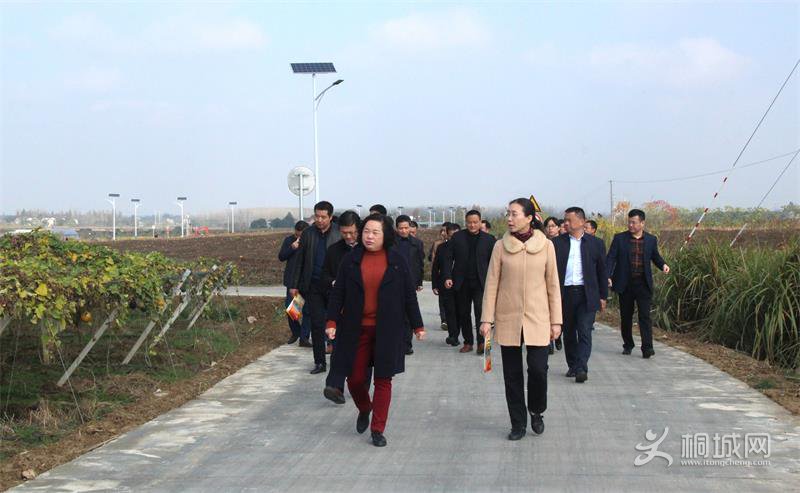 201811191713438728_k2M8JPj9.jpg
