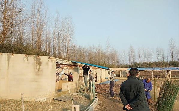 图为三畈村大棚房拆除现场.png