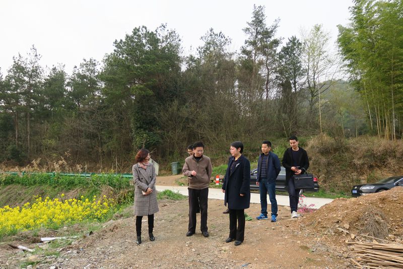 金秋明赴黄甲镇督察环保工作 桐城新闻 桐城网