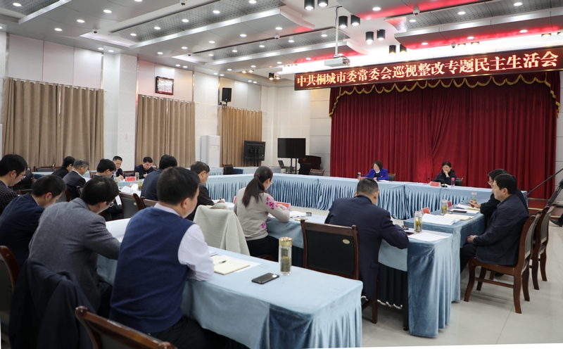 刘中汉主持召开市委常委会巡视整改专题民主生活会