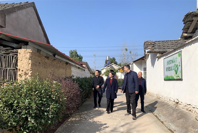 桐城 桐城新闻 12月4日,市委常委,组织部部长金秋明到大关镇调研指导