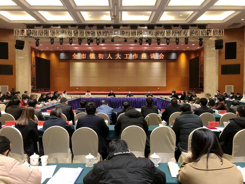 镇街人大工作座谈会.jpg