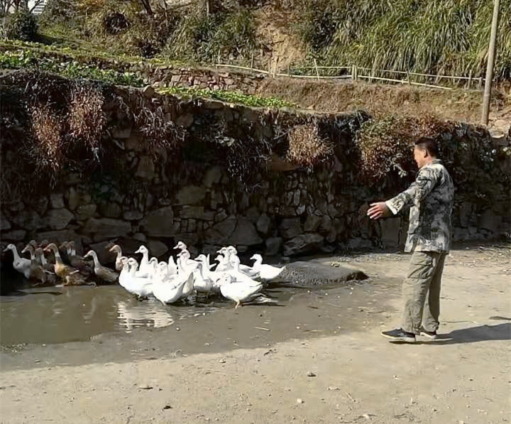 微信图片_20201124155825_副本.jpg