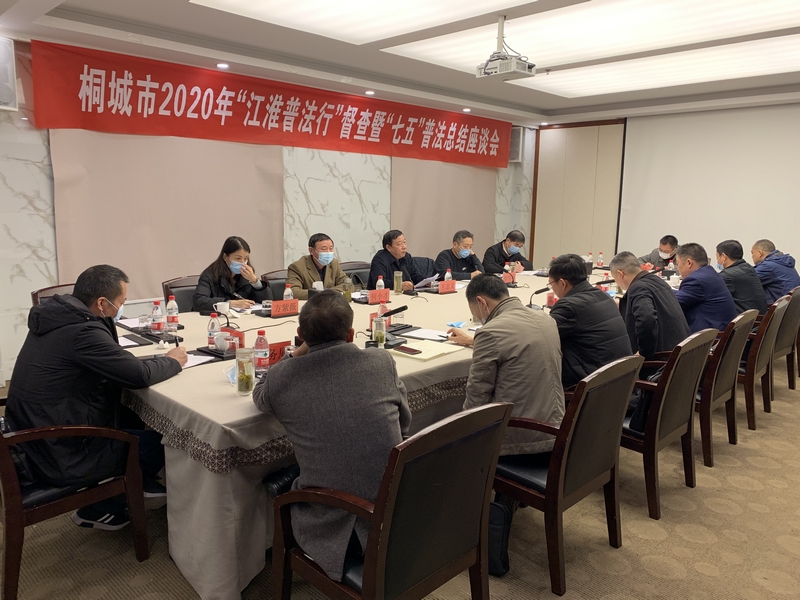 全市2020年“江淮普法行”督查暨“七五”普法总结座谈会召开3.jpg