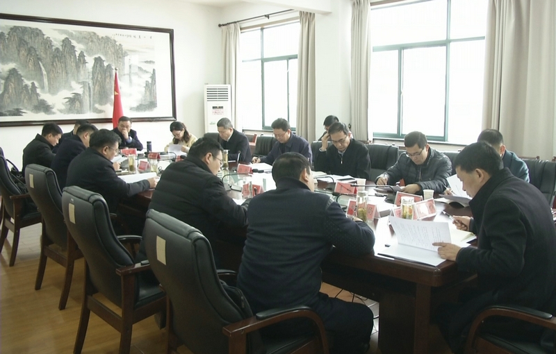 杨林率队来桐调研经济运行专题工作5.jpg