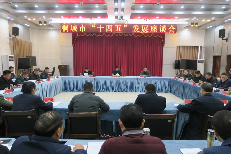 我市召开“十四五”发展座谈会1.jpg