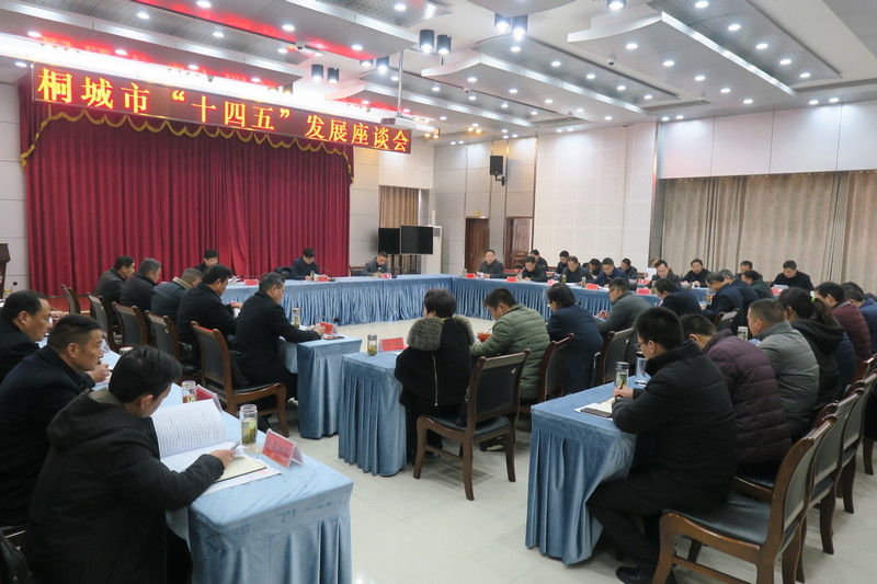 我市召开“十四五”发展座谈会3.jpg