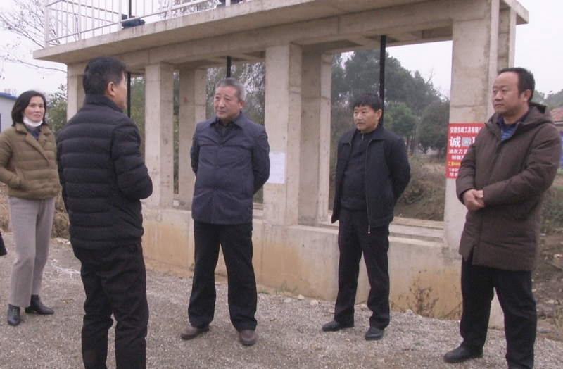 市政协视察农田水利“最后一公里”和农村水利工程修复提升工作1（在沥岗村大闸）.jpg