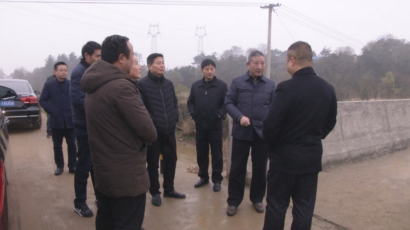 市政协视察农田水利“最后一公里”和农村水利工程修复提升工作1（在铁铺村农桥）.jpg