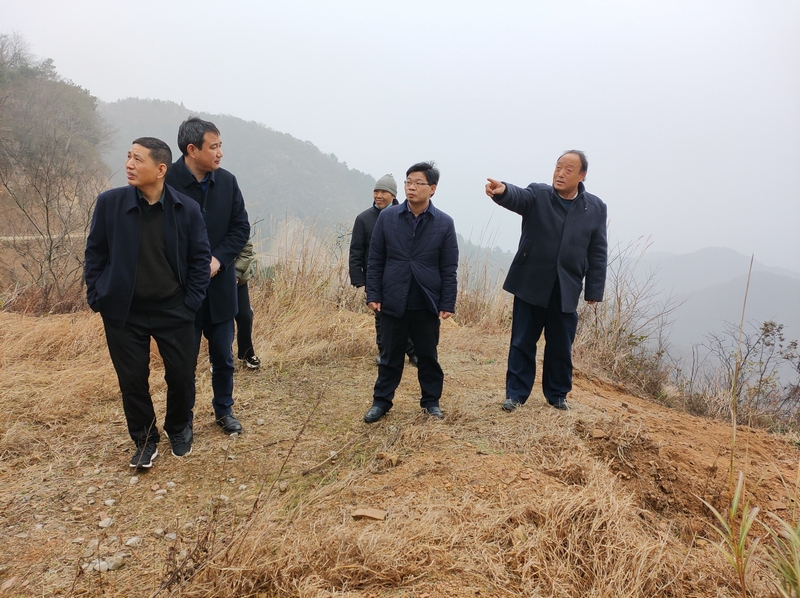 在欧家岭.jpg