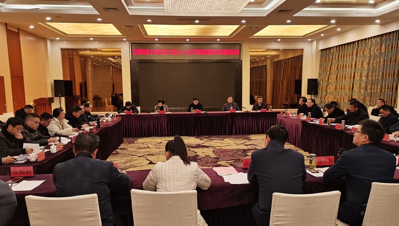 市人大常委会组织三级人大代表视察座谈会.jpg