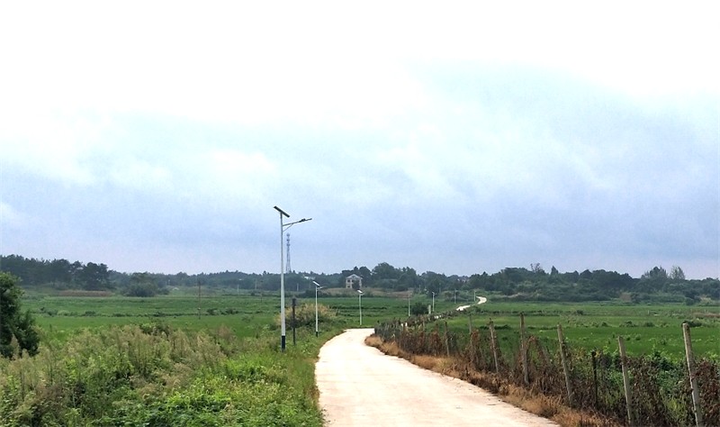 1高黄村库扶项目道路亮化工程.jpg