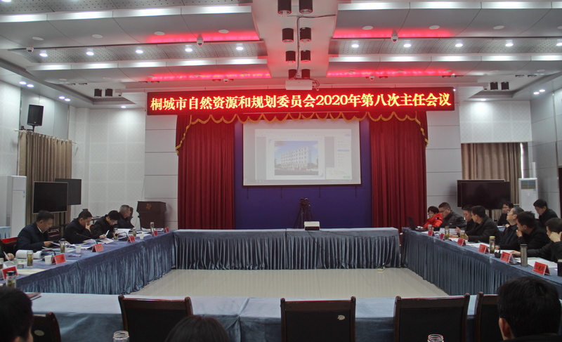 第八次规划委员会会议.JPG