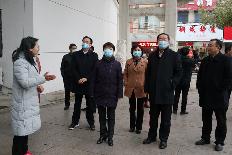 王翠凤来桐调研4听取六尺巷典故.JPG