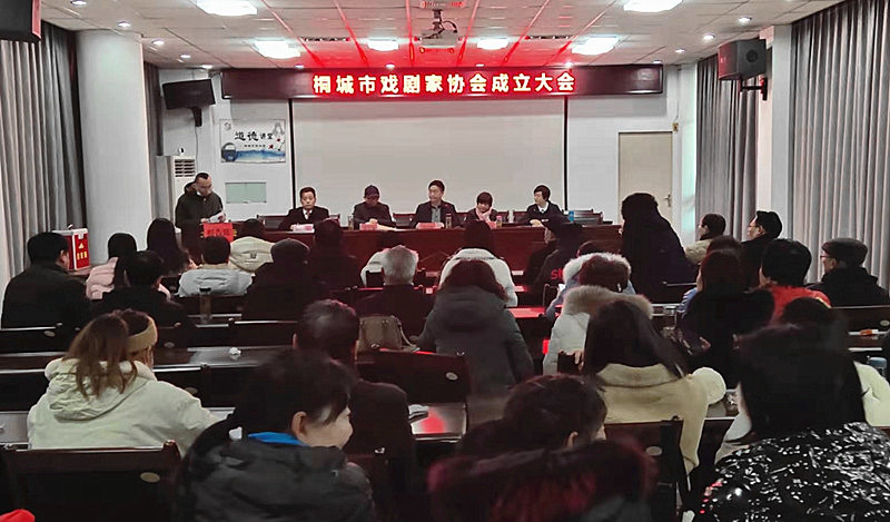 桐城市戏剧家协会成立大会召开.jpg