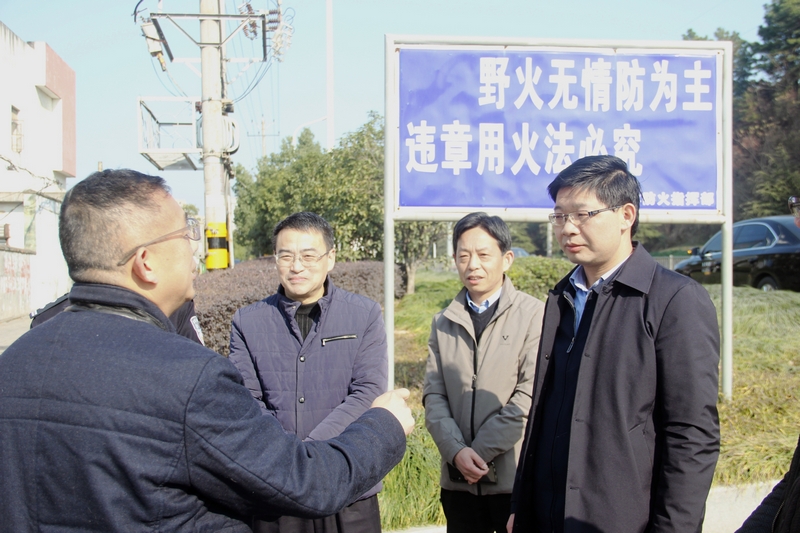 徐雄率队督查森林防火1.JPG