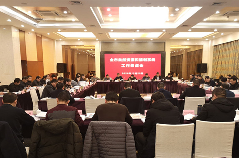 安庆市自然资源和规划工作务虚会在桐举行(1).jpg