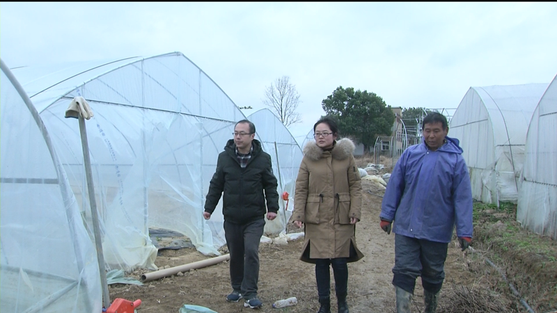 应对寒潮天气 农技人员“支招”农户防寒过冬 (1).png