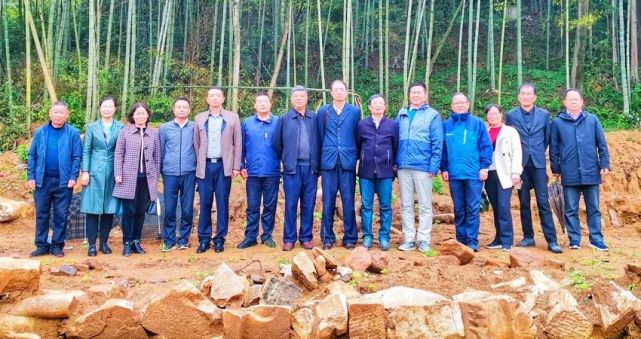 桐城:一代名相张英墓牌坊即将修复(图1) 桐城:一代名相张英墓牌坊即将修复(图1)