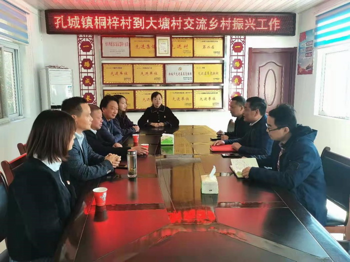 孔城镇桐梓村：追寻红色印记 助力乡村振兴(图2)