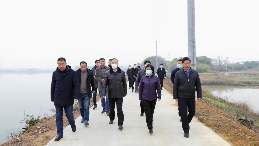 图为安庆市委常委、宣传部长、菜子湖安庆市级湖长王爱武在金神镇马宕湖巡湖调研.jpg