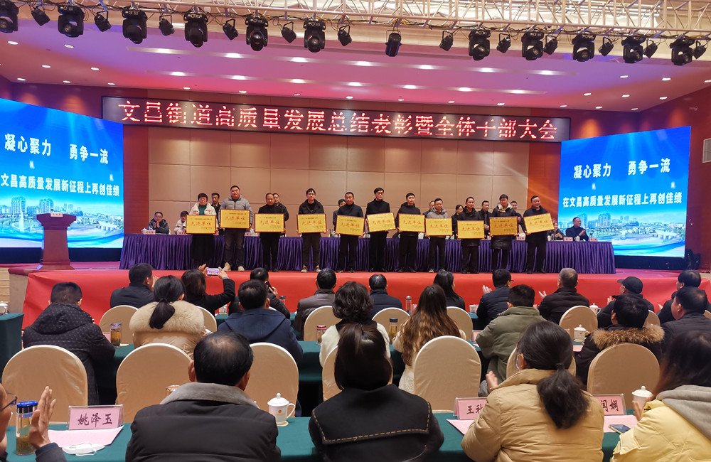 图为会议对部分先进单位颁发奖章。.jpg