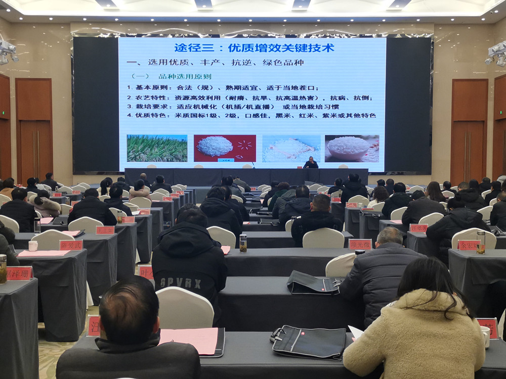 全市种植业管理系统2022年度总结表彰大会暨春训会1.jpg