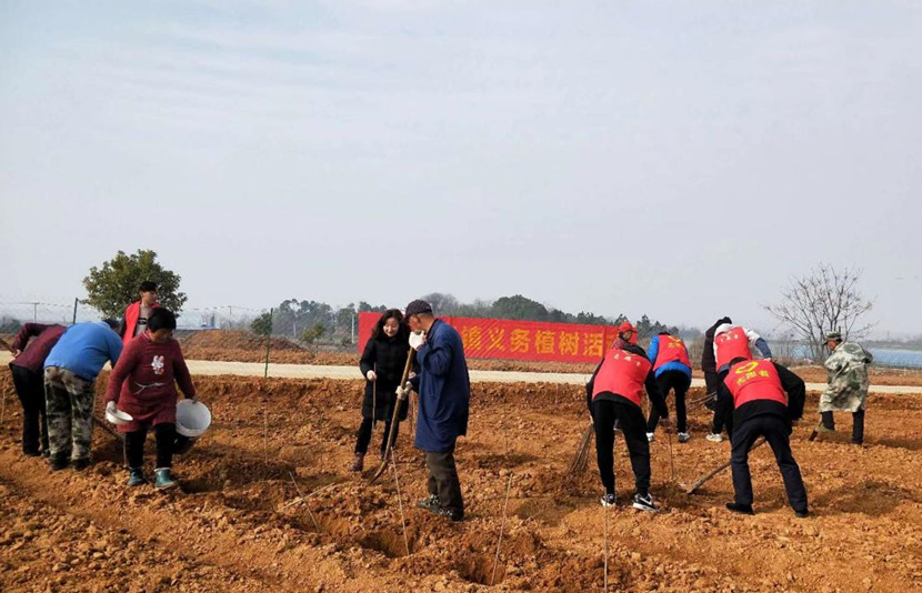 志愿者参与植树.jpg