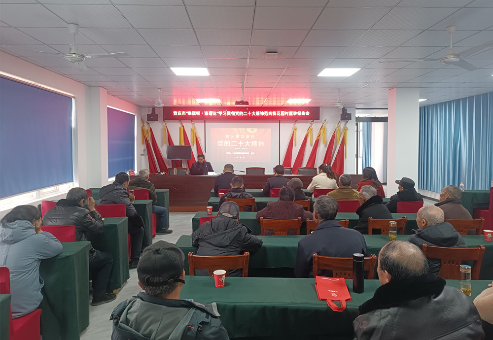 安庆市“举旗帜·送理论”学习贯彻党的二十大精神宣讲报告会暨2023年中央一号文件宣讲会走进范岗镇花园村2.jpg