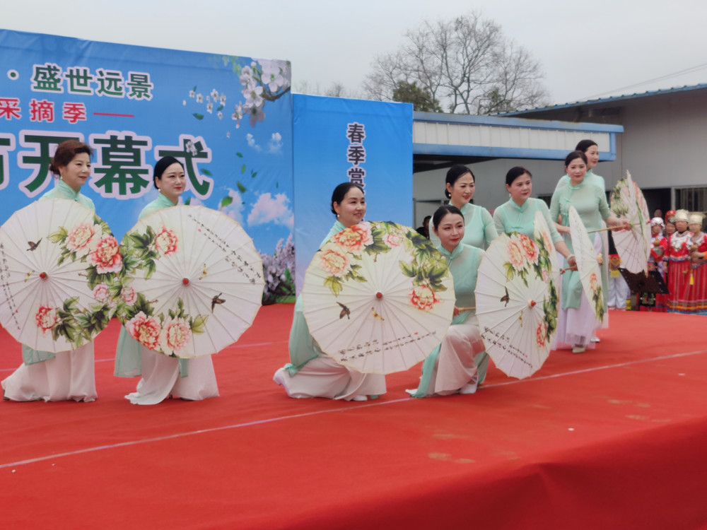 梨花节开幕.jpg