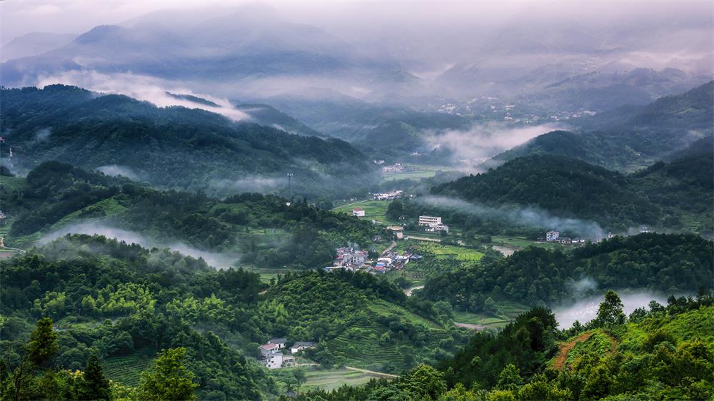 龙眠山晨雾——张令舟摄.jpg