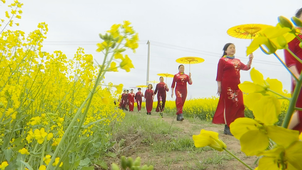 油菜花4.jpg